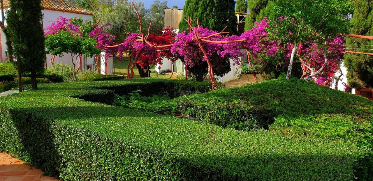 Cortijo El Triguero N-398 Ctra Carmona - El Viso Del Alcor Km 18 Villa Exterior photo